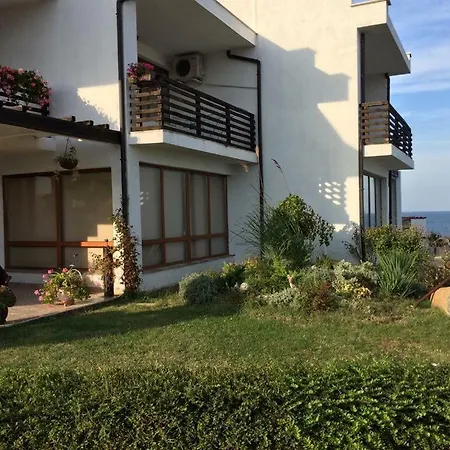 Aurelia Sozopol