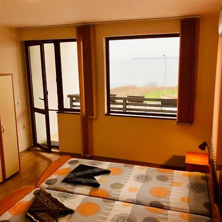 Aurelia Sozopol