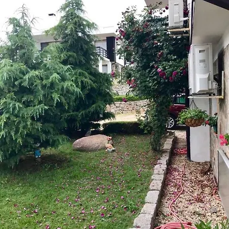 Aurelia Sozopol