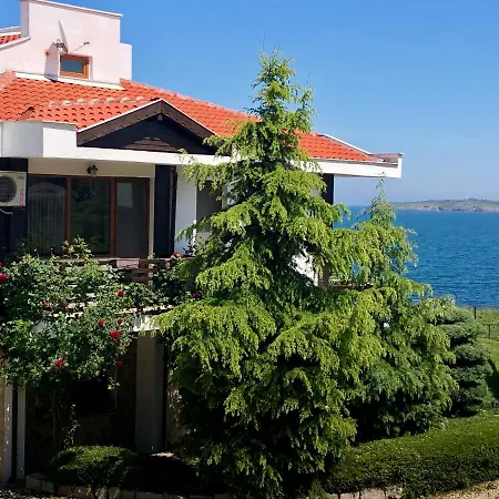 Aurelia * Sozopol