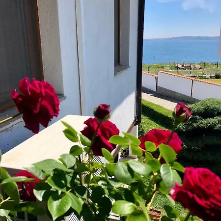 Aurelia Holiday home *
