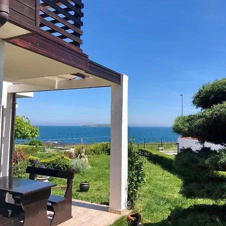 Aurelia Sozopol