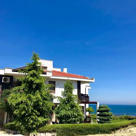 Aurelia Sozopol